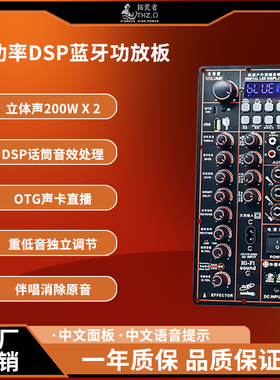 12V220VDSP蓝牙功放板立体声2声道OTG声卡直播广场拉杆音箱功放板