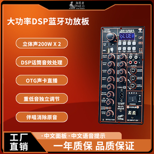 12V220VDSP蓝牙功放板立体声2声道OTG声卡直播广场拉杆音箱功放板