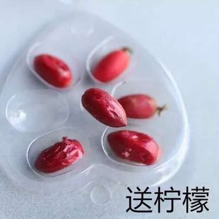 神秘果果干变味果柠檬酸变甜