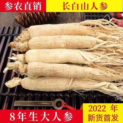 吉林人参长白山新鲜干人参