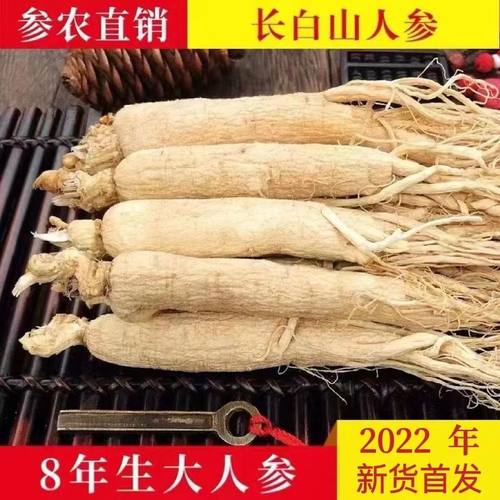 吉林人参长白山新鲜干人参