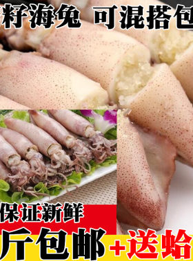 满籽海兔新鲜海兔子八爪鱼小海