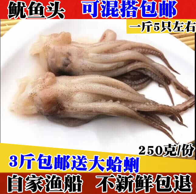 海鲜鱿鱼须新鲜鲜活鱿鱼爪鱿鱼足鱿鱼爪鱿鱼头鱿鱼冷冻串铁板烧烤