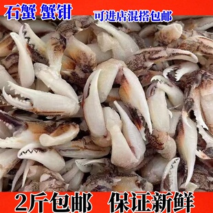 新鲜蟹钳野生鲜活花蟹脚蟹钳石蟹冷冻麻辣小海鲜原料沙蟹脚蟹腿