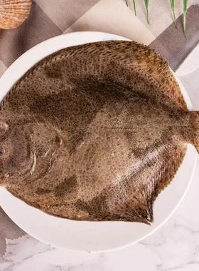 大多宝鱼新鲜多宝鱼鲜活海鱼新鲜石斑比目鱼连云港海鲜水产