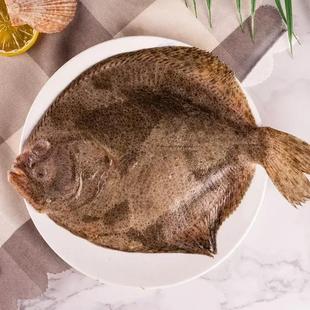 大多宝鱼新鲜多宝鱼鲜活海鱼新鲜石斑比目鱼连云港海鲜水产