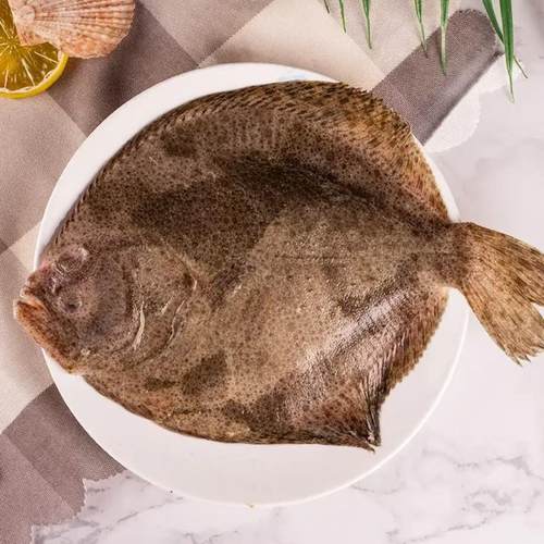 多宝鱼新鲜多宝鱼海鲜水产