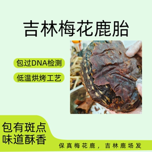 梅花鹿鹿胎鹿胎粉整个吉林鹿胎盘鹿膏滋补女性子宫月经