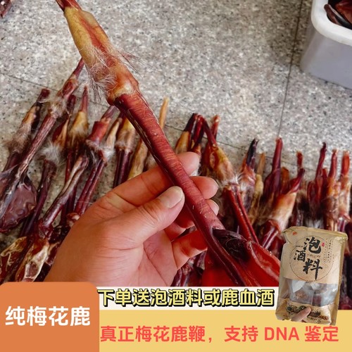 真正梅花鹿鞭干吉林双阳梅花鹿之乡鹿鞭男性用泡酒正品纯正