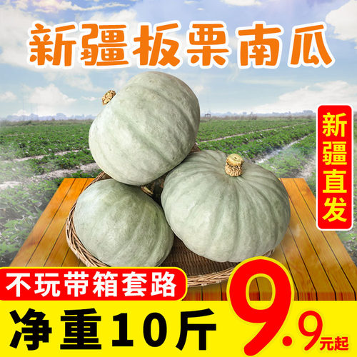 新疆蔬菜板栗南瓜10斤辅食非贝贝