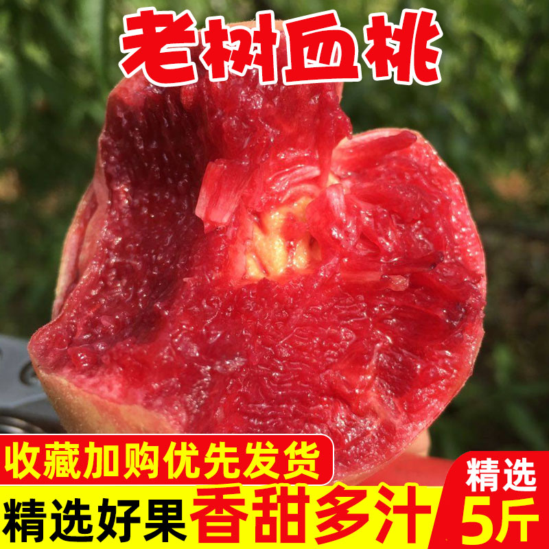 正宗血桃应季桃子新鲜水果脆桃红心毛桃孕妇当季整箱甜水蜜桃5斤