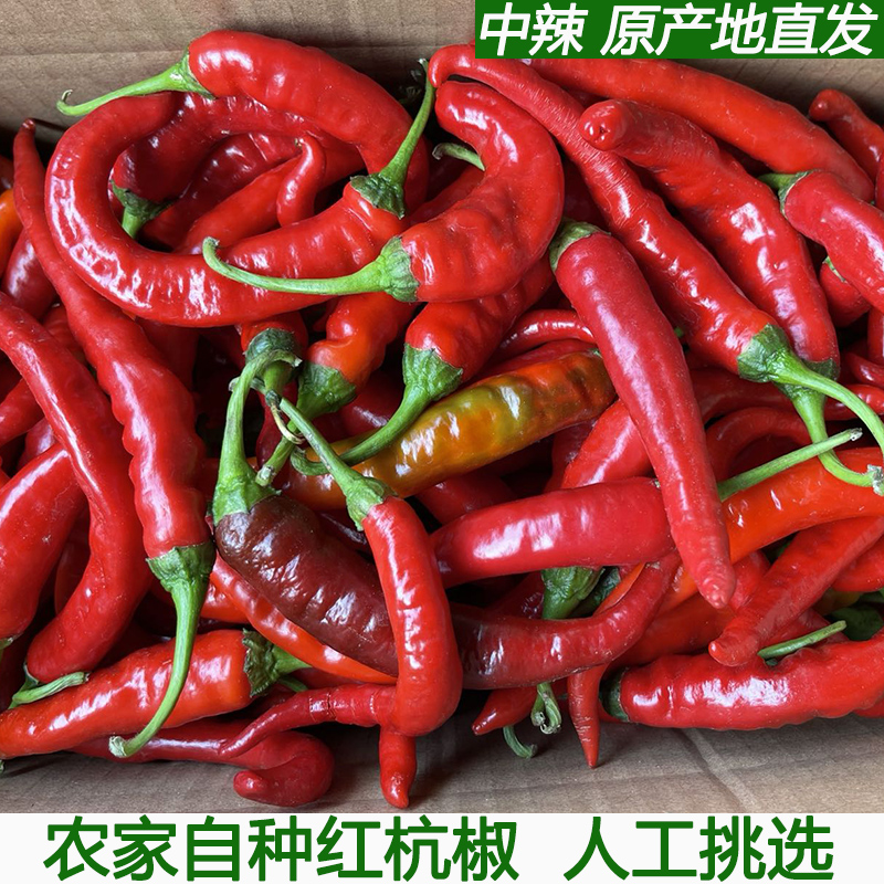 湖北新鲜红辣椒红尖椒鲜红土辣椒