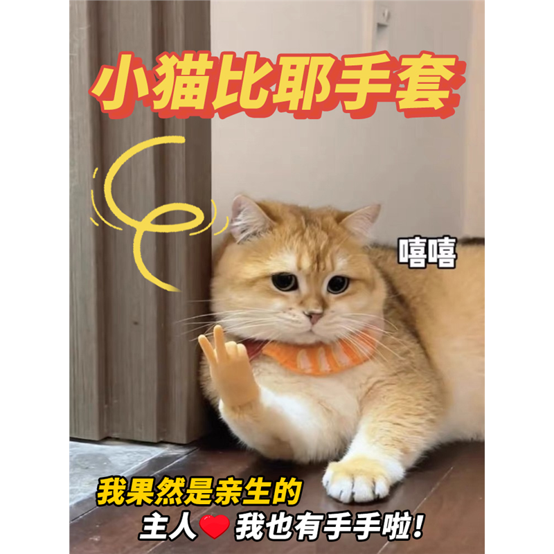猫咪弹力小手猫咪手套搞笑比耶手套猫爪迷你手掌整蛊搞笑软胶玩具,宠物/宠物食品及用品,逗猫棒,淘宝优惠券,粉丝福利购,淘宝优惠卷