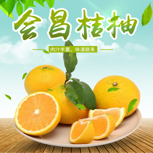 【顺丰京东】正宗会昌桔柚果园直发送礼特级大果礼盒赣南甜桔柚