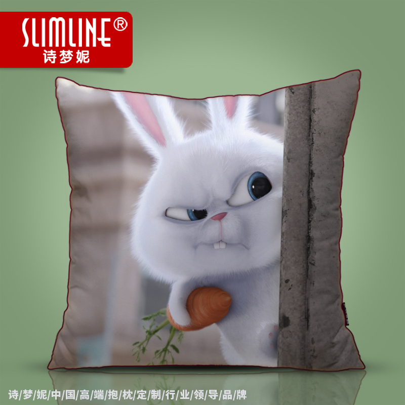 可爱爱宠大机密抱枕被子高档