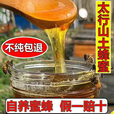 太行山土蜂蜜纯正天然农家自产百花蜜野生蜂蜜