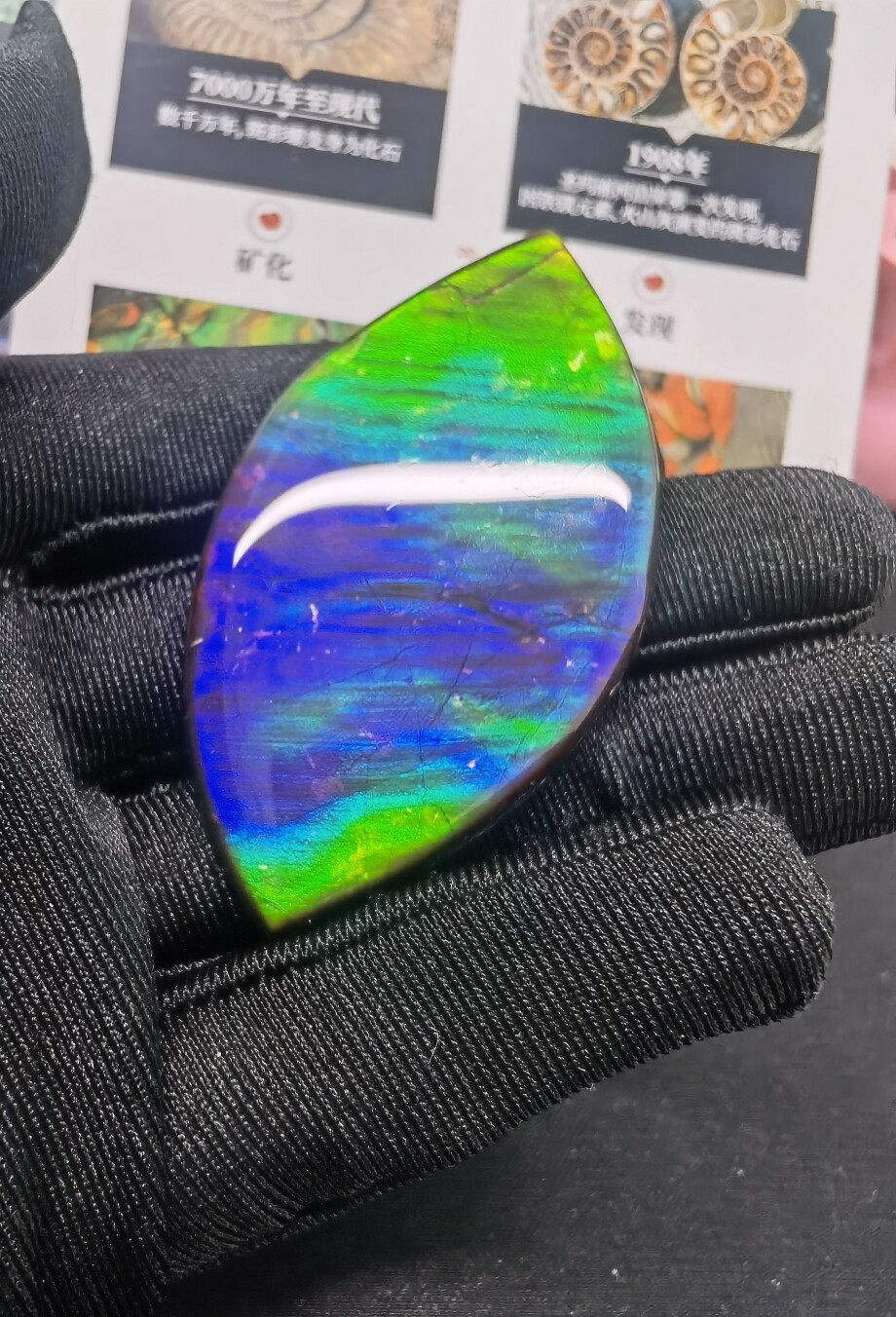 加拿大天然斑彩宝石,大双面蓝色金红色