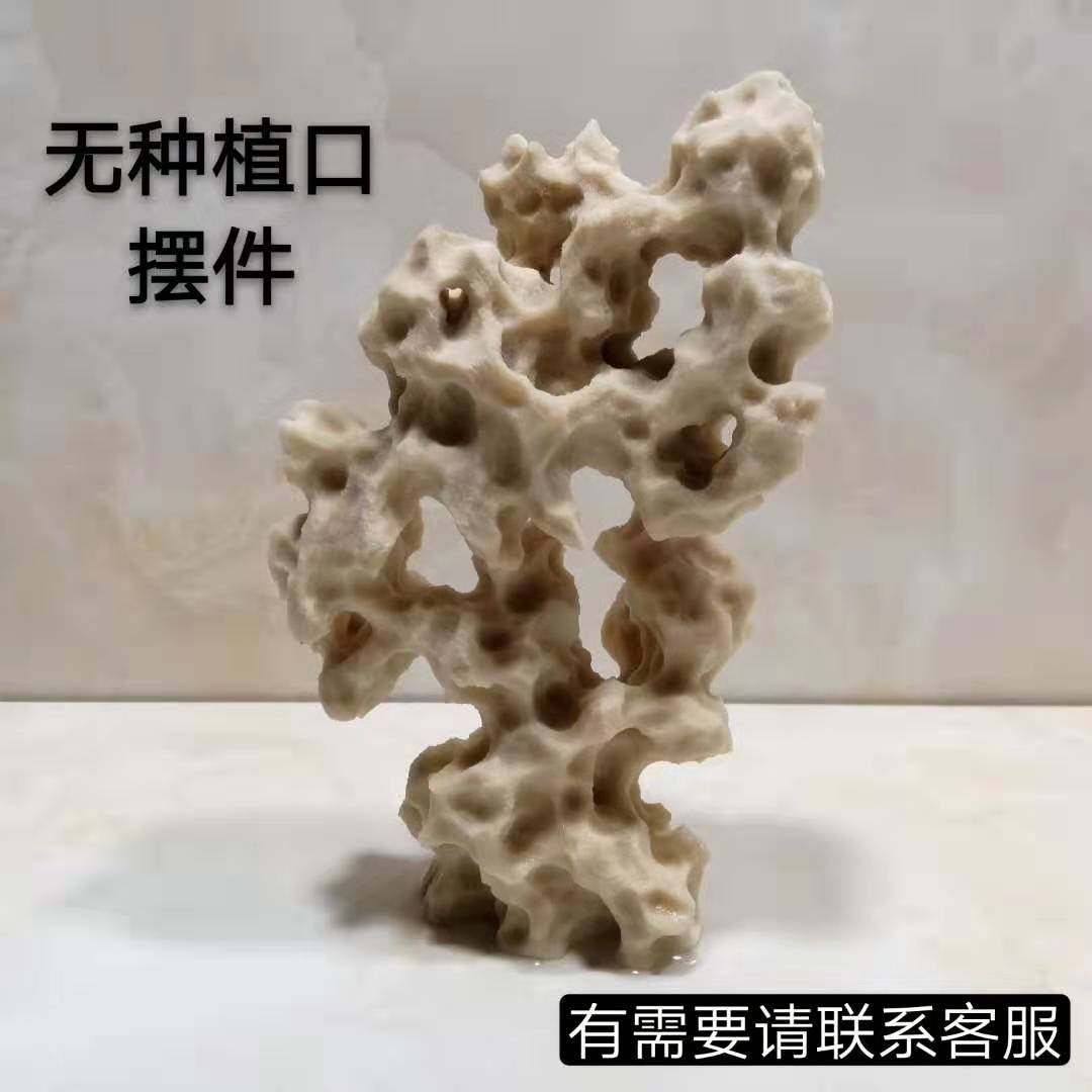 吴定石盆景 台湾吸水石上水石苔藓附石观赏石装饰 无种植口小摆件,鲜花速递/花卉仿真/绿植园艺,花架,淘宝优惠券,粉丝福利购,淘宝优惠卷