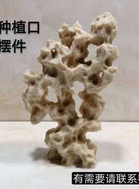 吴定石盆景 台湾吸水石上水石苔藓附石观赏石装饰 无种植口小摆件