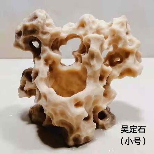 吴定石菖蒲吸水花盆桌面