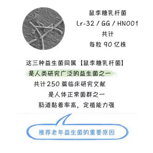 Пробиотики пожилых людей пожилой пробиотики для пожилых людей 60+ взрослых для регулирования желудочно -кишечного иммунитета Маленький магазин Австралия Австралия