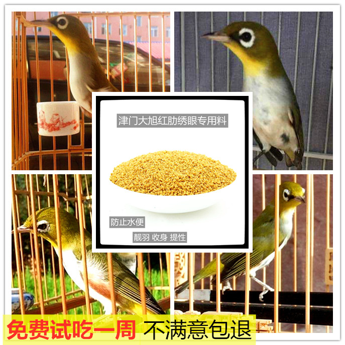 绣眼鸟食饲料绣眼鸟颗粒饲料红肋暗绿收身营养大唱防水便绣眼鸟食