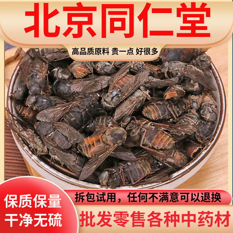 牛虻虫中药材大牛苍蝇抵挡汤原料