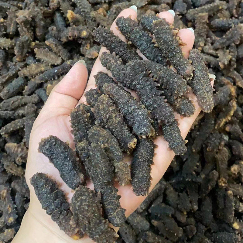 黑刺参干货正品下单立减淡干海参