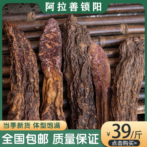 锁阳整根淫羊藿泡酒中药材