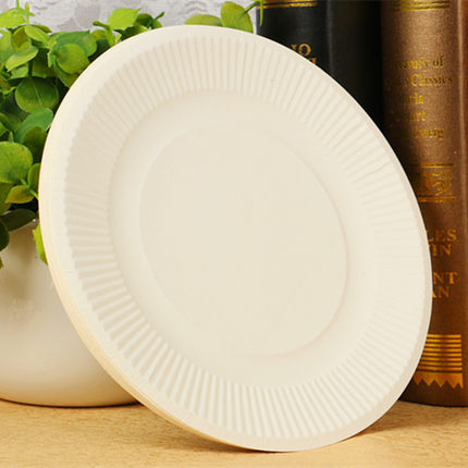 7寸白色一次性纸盘儿童diy手工25枚/包