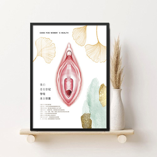 外阴结构私密艺术挂画产康美容院生殖保养墙装饰医美月子中心壁画