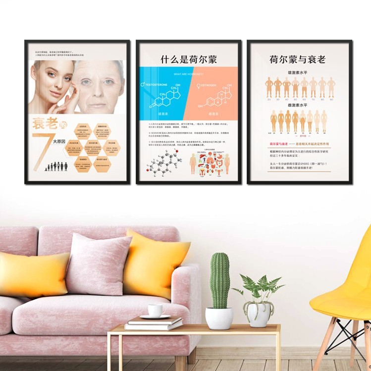 产后装饰画挂画妇产科月子会所