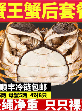蟹王蟹后特大大闸蟹鲜活螃蟹8只装礼盒官方旗舰全母发非盘锦河蟹