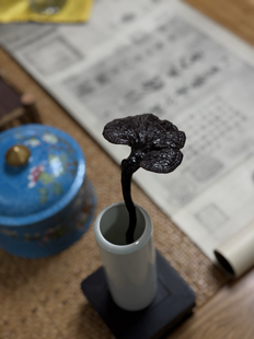 园冶志 文玩灵芝摆件 文房收藏 书房用品 天然灵芝清供 文人空间