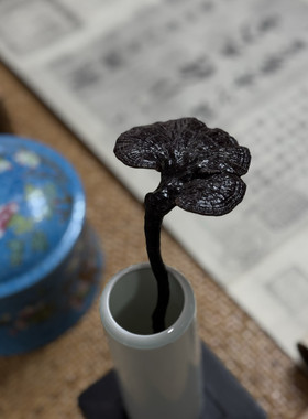 园冶志 文玩灵芝摆件 文房收藏 书房用品 天然灵芝清供 文人空间