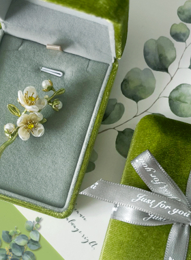 生日礼物女生送闺蜜姐妹老婆朋友妈妈同学老师胸针18岁成人毕业季