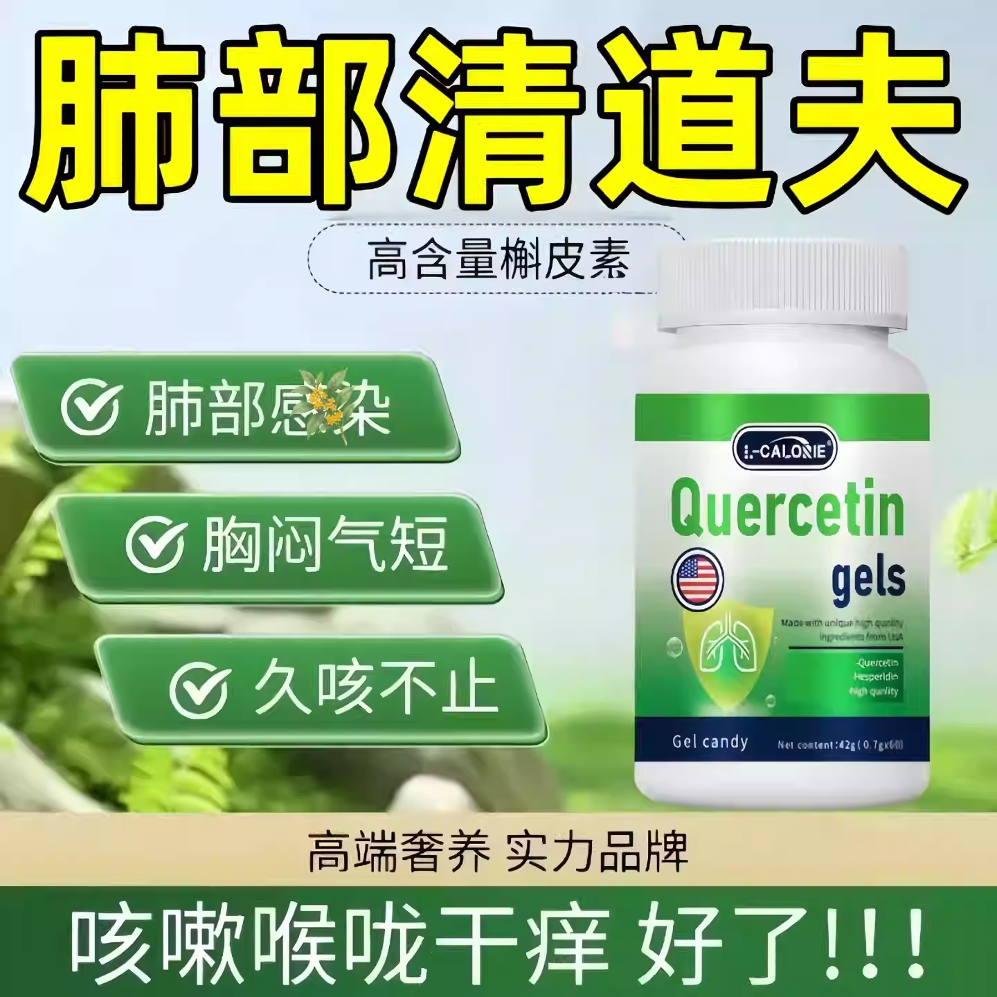 小绿宝槲皮素护肺植物萃取胶囊