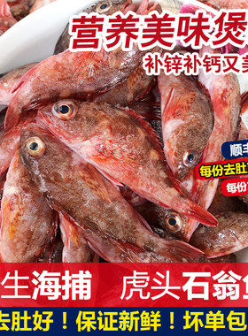 石翁鱼新鲜海捕海钓潮汕海鲜水产鲜活小虎头红斑鱼石头鱼石九公