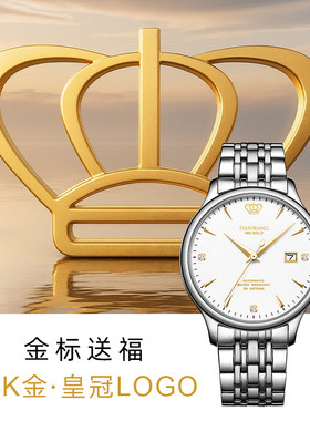 天王昆仑系列5876金标机械表