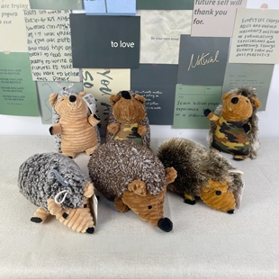 软萌刺猬逗趣猪叫宠物狗玩具大小狗通玩易发声互动陪伴好物推荐