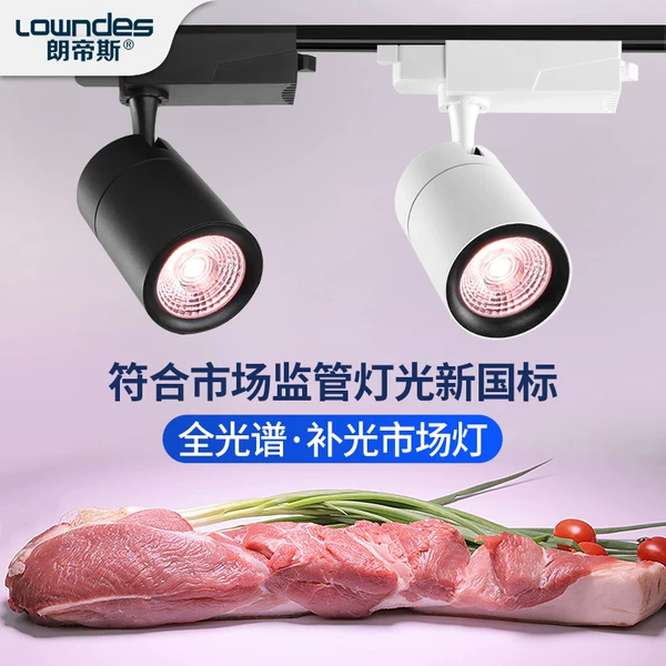 Товары от 朗帝斯灯具旗舰店