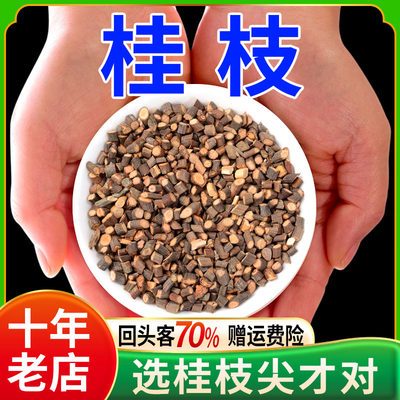 桂枝500g中药材尖部嫩条正品