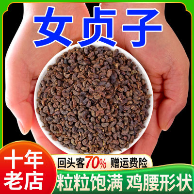 女贞子500g正品中药材旱莲草