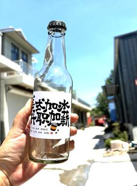 新款网红330ml复古港式咖啡奶茶瓶透明玻璃密封冷萃啤酒玻璃空瓶