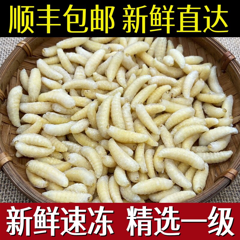 野生蜂蛹鲜新冷冻一级蜂冰冻马蜂拥烧烤油炸云南特产500g顺丰包邮