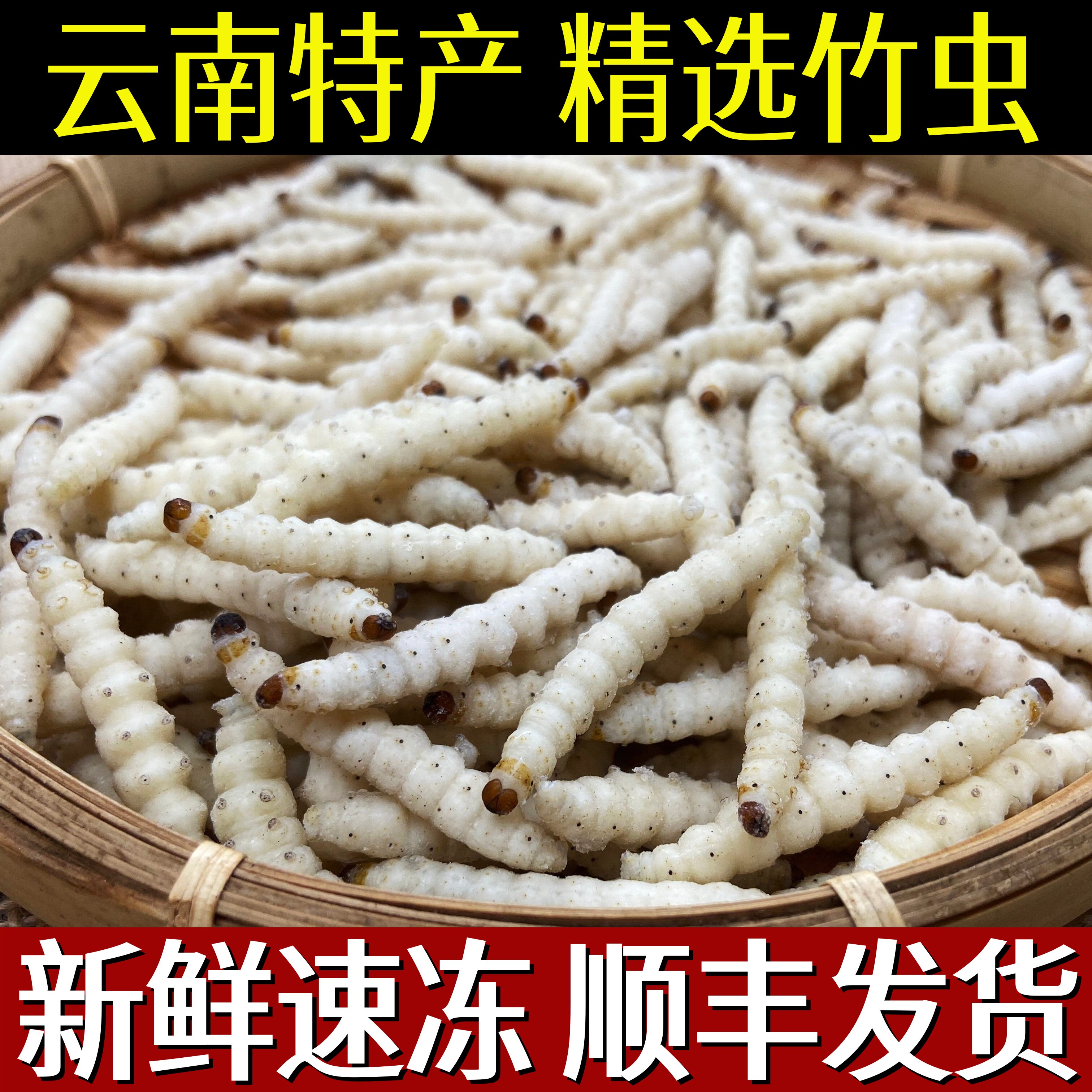 云南特产野生竹虫鲜新冷冻冰冻竹蛹竹节虫油炸顺丰包邮500克商用