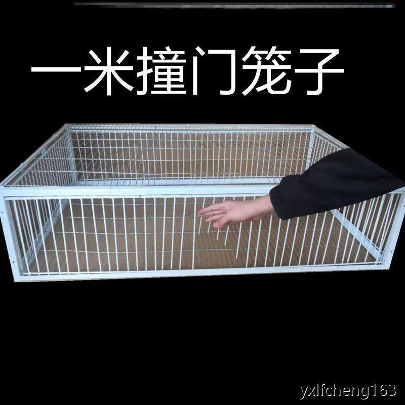 捕鸽神器抓鸽子笼全自动只进不出户外野外天落方便大型陷阱鸟笼