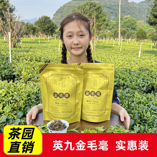 英德红茶英红九号金毛毫广东特产茶叶2026年头春茶浓香型袋装250g