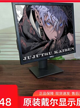 戴尔DELL18.5英寸可旋转升降P190SB广视角色彩明亮VGA DVI接口