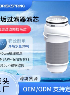 阻垢APMS家用净水器除垢不锈钢316L滤芯滤芯替换过滤器前置40UM